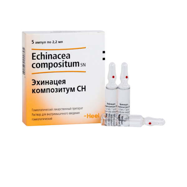 Эхинацея композитум СН раствор для в/м введ 2,2 мл амп индуп 5 шт