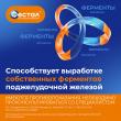 Фестал, таблетки кишечнорастворимые покрыт.об. 20 шт доставка
